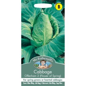 Cabbage Offenham 2 (Flower Of Spring) Seeds
